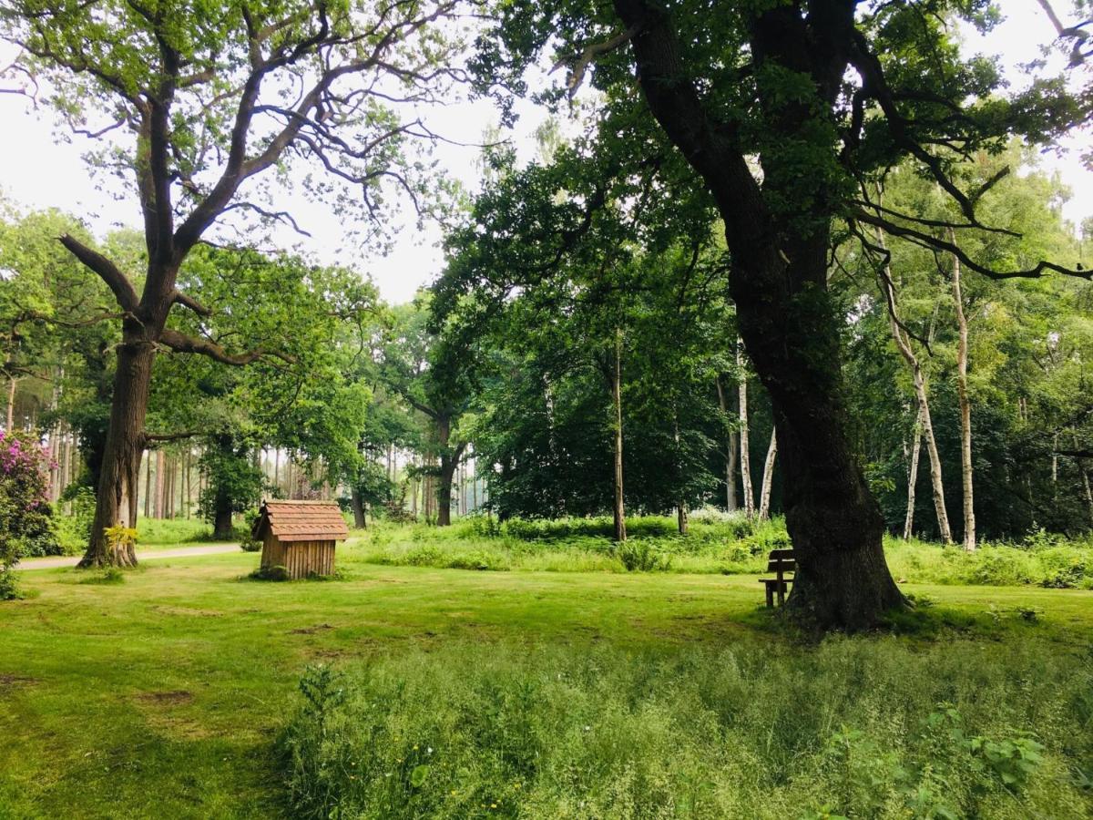 Hollicarrs Holiday Park - Hares Leap Riccall Экстерьер фото